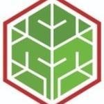 The Packaging Tree